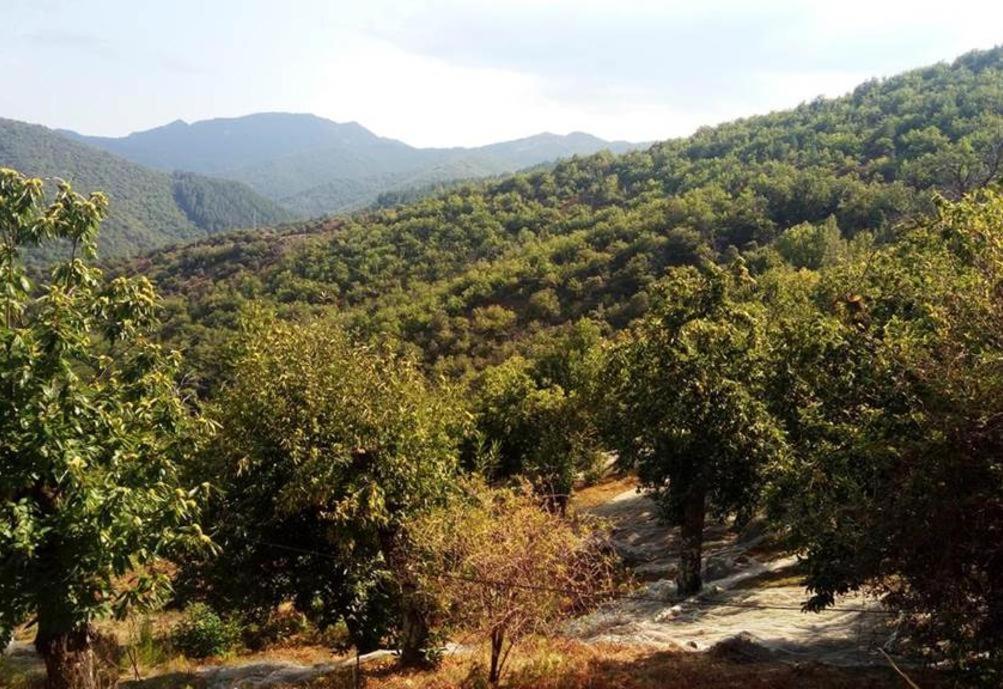 Gite De Fontfouillouse Les Plantiers Εξωτερικό φωτογραφία