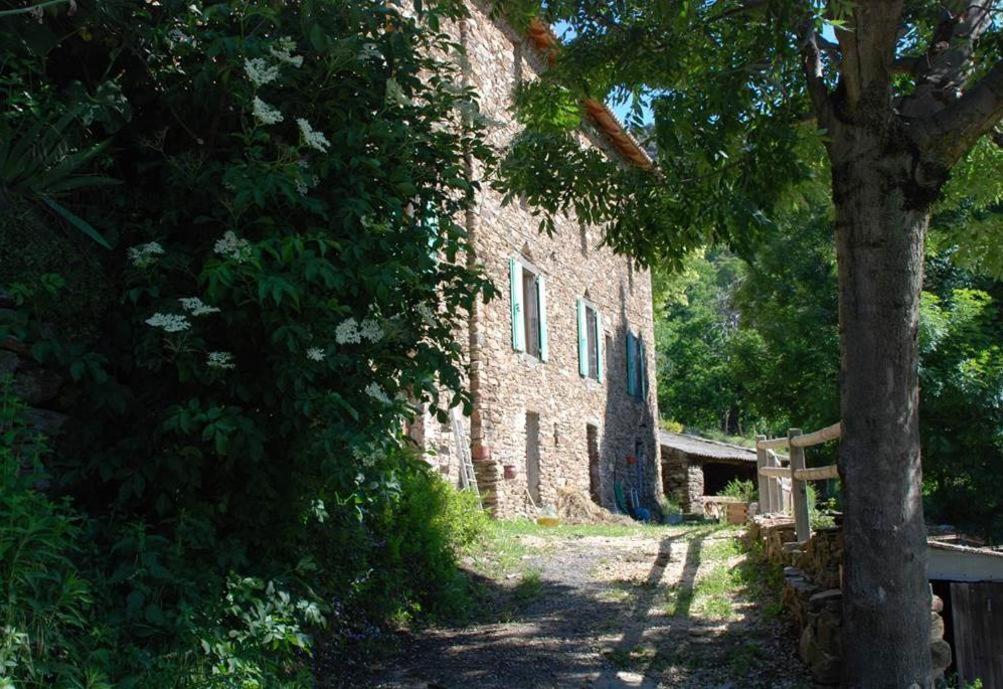 Gite De Fontfouillouse Les Plantiers Εξωτερικό φωτογραφία